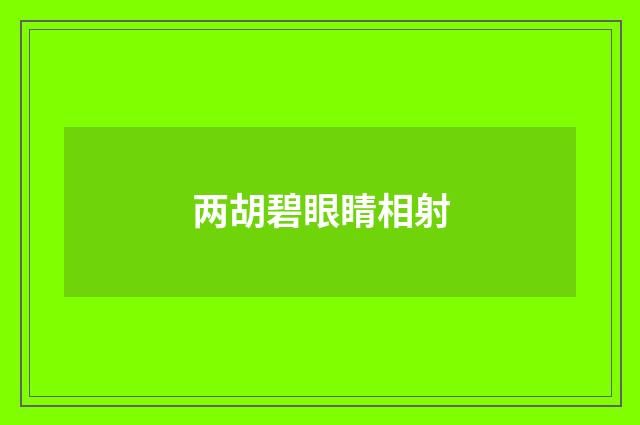 两胡碧眼睛相射