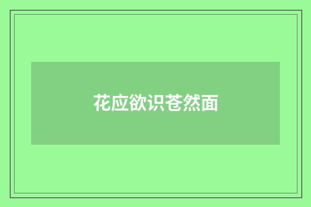 花应欲识苍然面