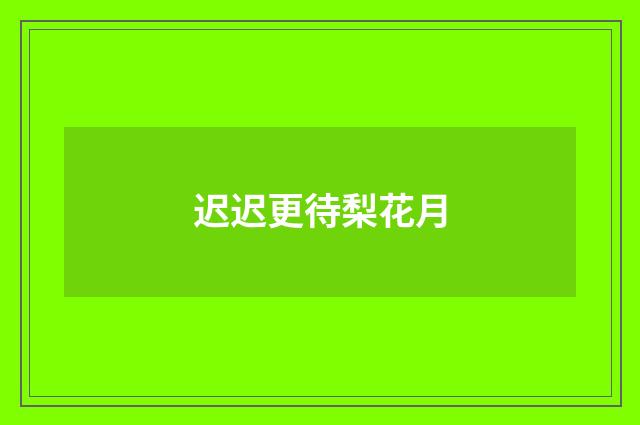 迟迟更待梨花月
