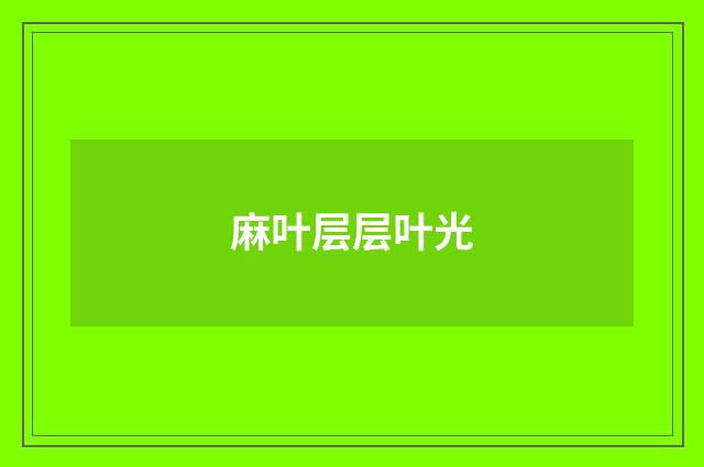 麻叶层层叶光