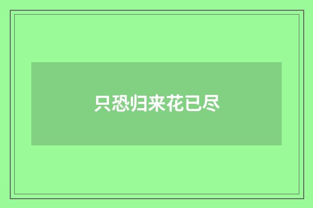 只恐归来花已尽