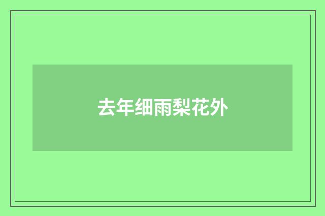 去年细雨梨花外