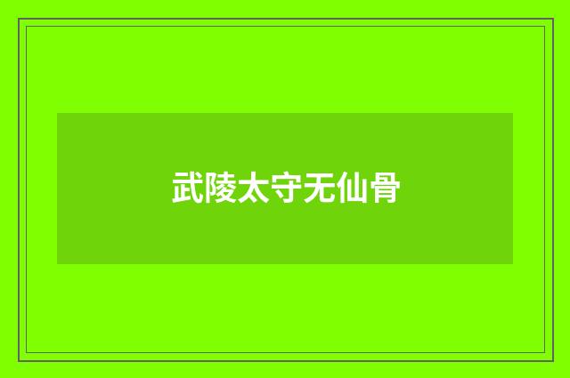 武陵太守无仙骨