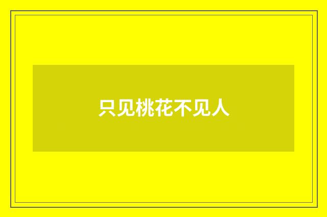 只见桃花不见人