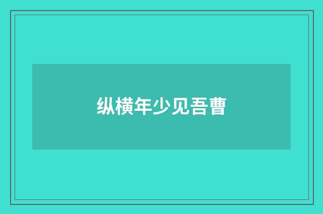 纵横年少见吾曹