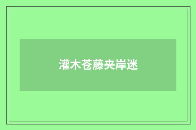 灌木苍藤夹岸迷