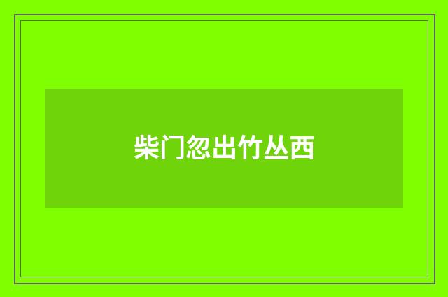 柴门忽出竹丛西