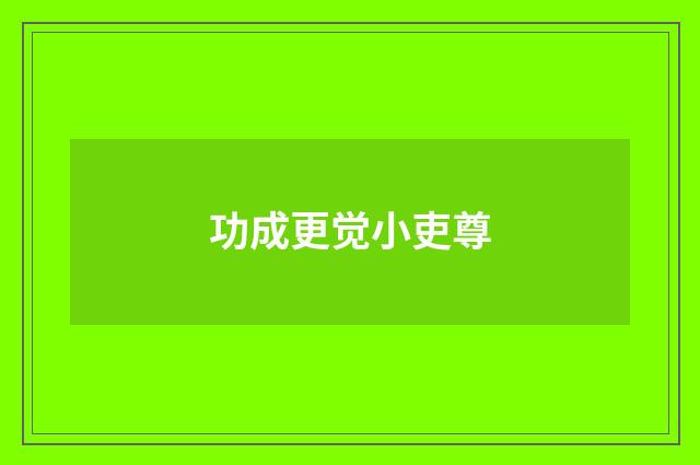 功成更觉小吏尊