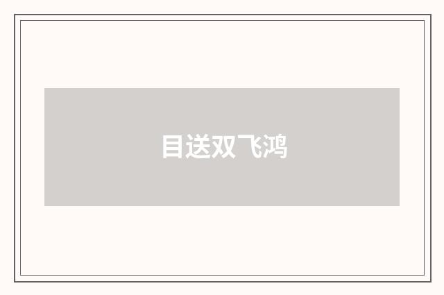 目送双飞鸿