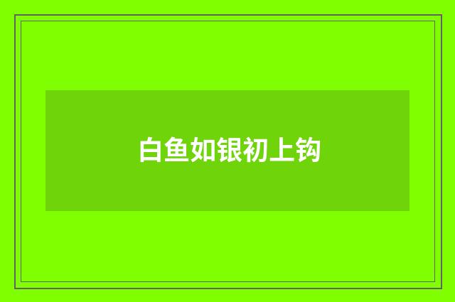白鱼如银初上钩