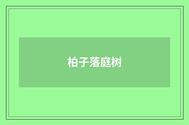 柏子落庭树