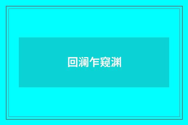 回澜乍窥渊