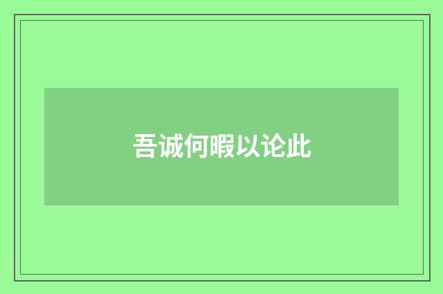 吾诚何暇以论此