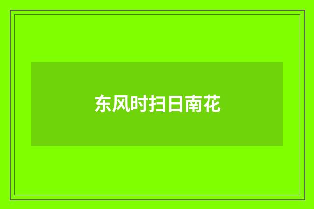 东风时扫日南花