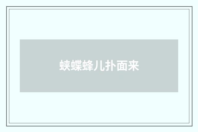 蛱蝶蜂儿扑面来