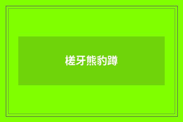槎牙熊豹蹲