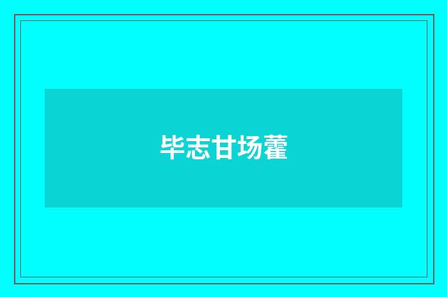 毕志甘场藿