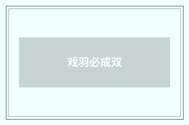 戏羽必成双