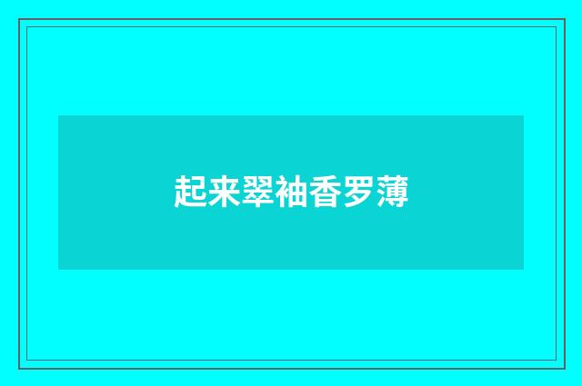 起来翠袖香罗薄