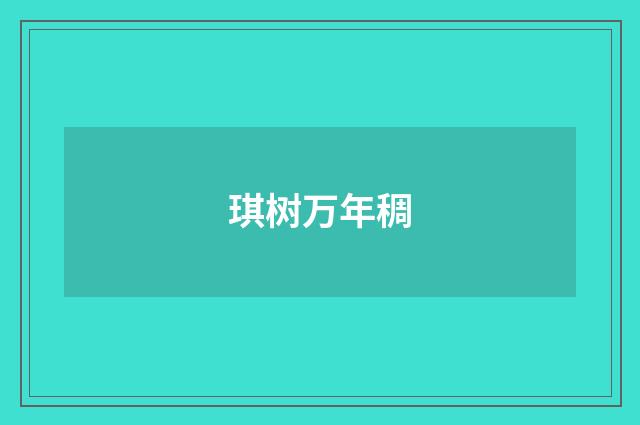 琪树万年稠