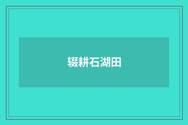 辍耕石湖田