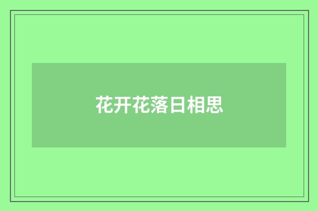 花开花落日相思