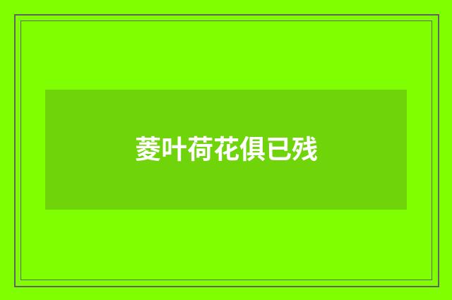 菱叶荷花俱已残