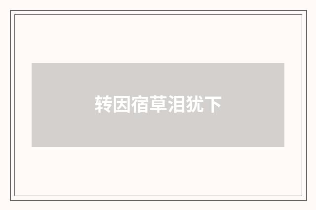 转因宿草泪犹下