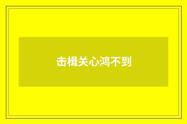 击楫关心鸿不到
