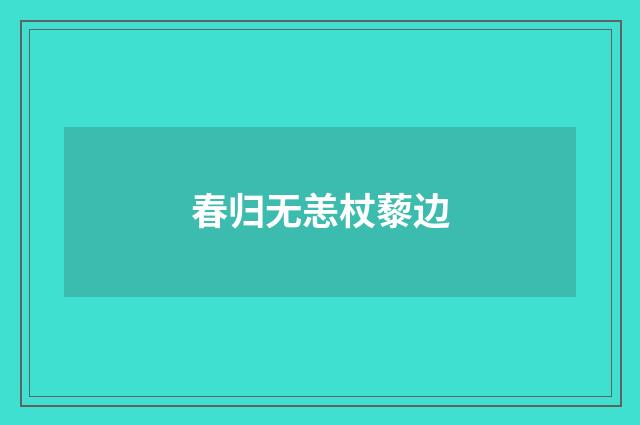 春归无恙杖藜边