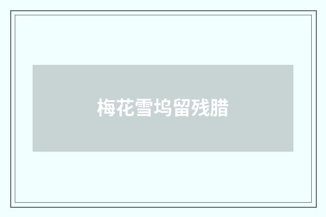 梅花雪坞留残腊