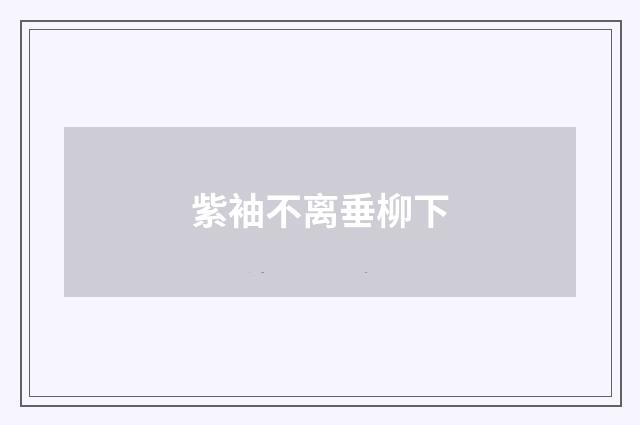 紫袖不离垂柳下