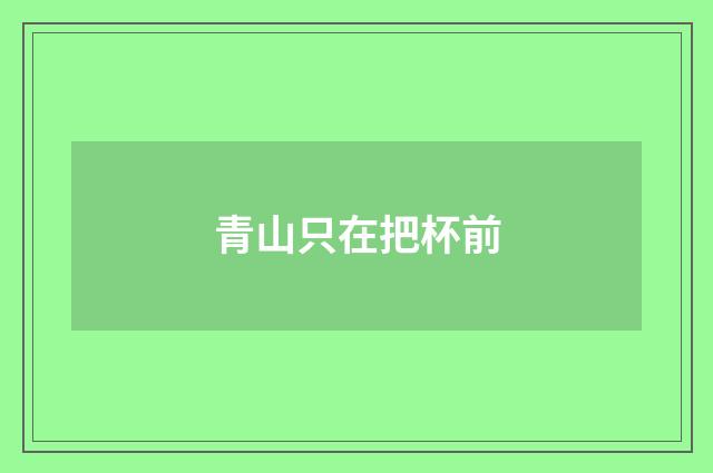 青山只在把杯前