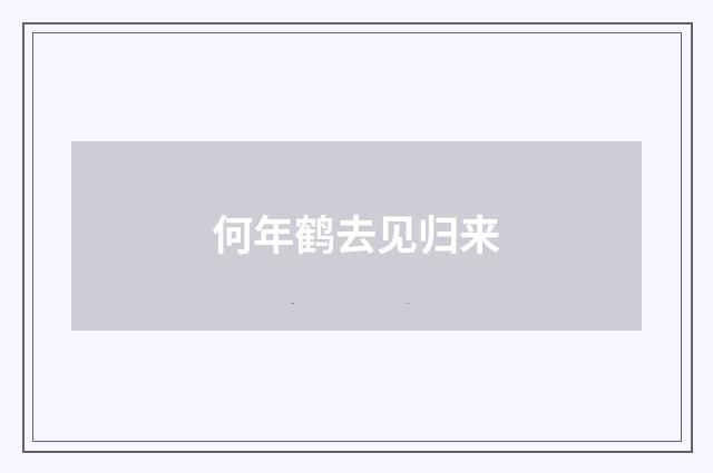 何年鹤去见归来