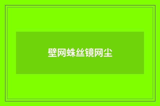 壁网蛛丝镜网尘
