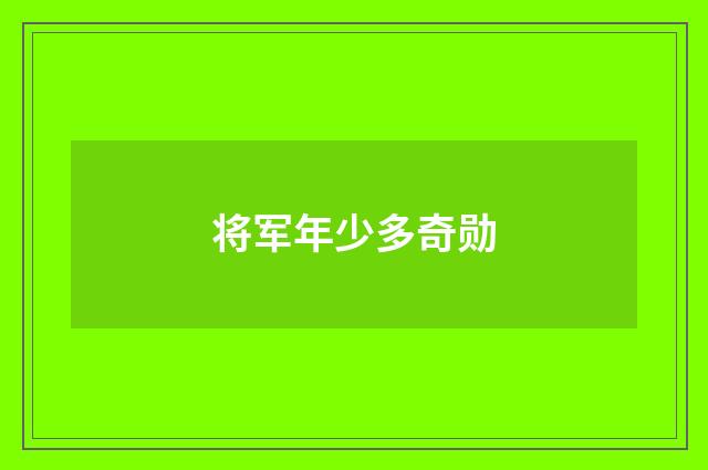 将军年少多奇勋