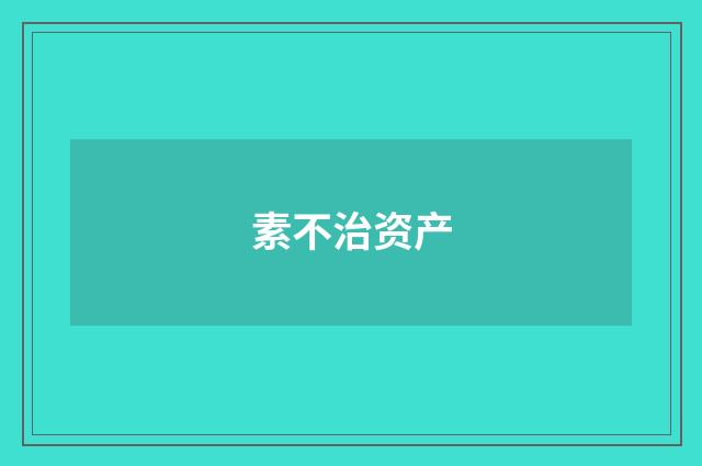 素不治资产