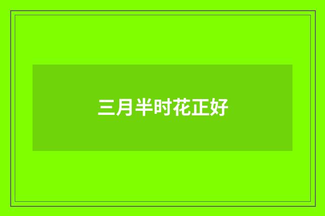 三月半时花正好