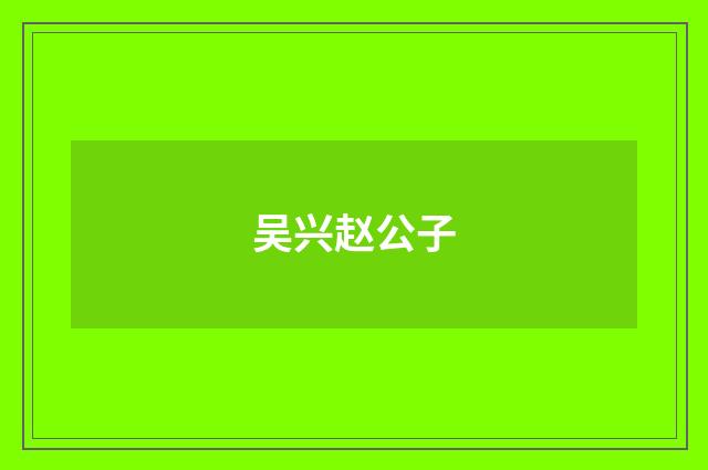 吴兴赵公子