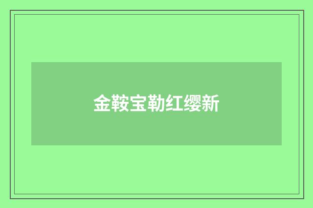 金鞍宝勒红缨新