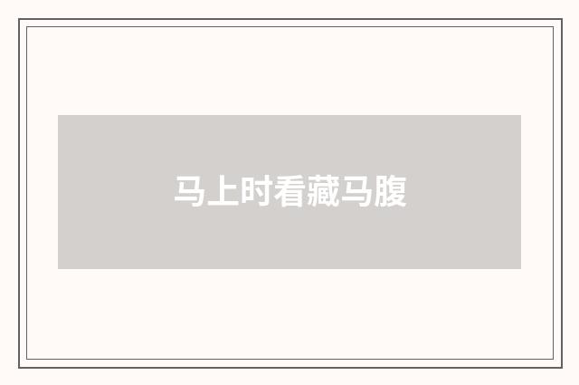 马上时看藏马腹