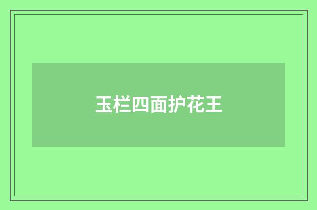 玉栏四面护花王