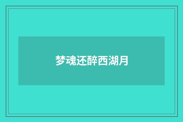 梦魂还醉西湖月