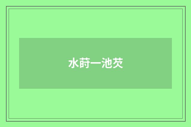 水莳一池芡