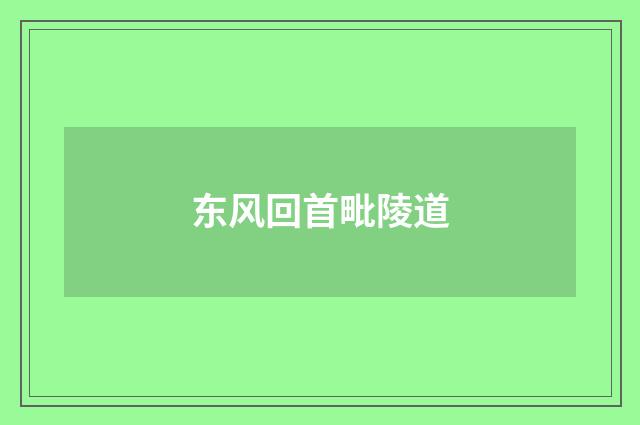 东风回首毗陵道