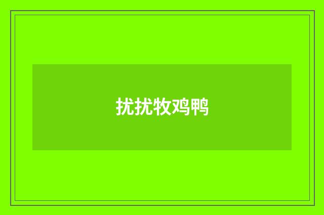 扰扰牧鸡鸭