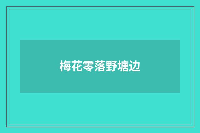 梅花零落野塘边