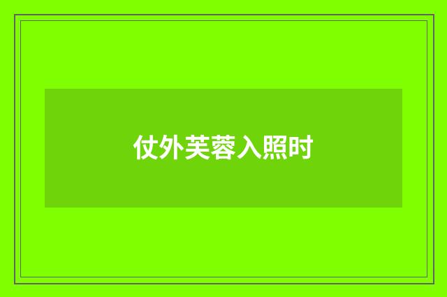 仗外芙蓉入照时