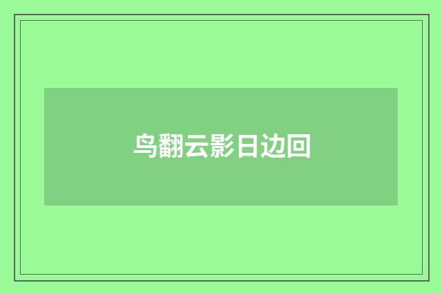 鸟翻云影日边回