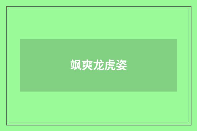 飒爽龙虎姿
